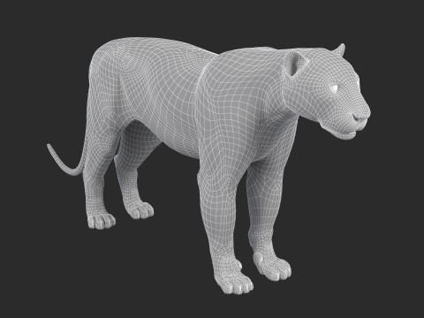 Leopard Modèle 3D
