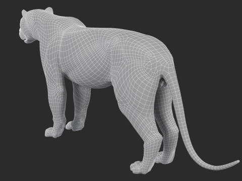 Leopard Modèle 3D