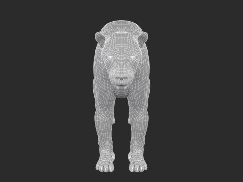 Leopard 3D Model
