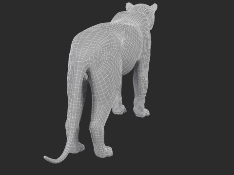 Leopard Modèle 3D