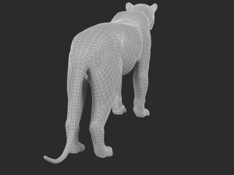 Leopard 3D Model
