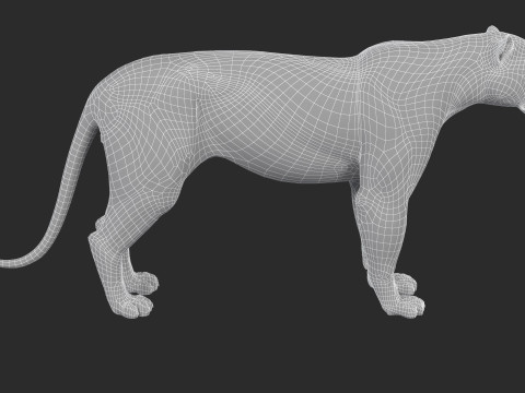 Leopard Modèle 3D