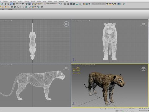 Leopard Modèle 3D