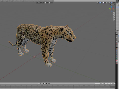 Leopard Modèle 3D