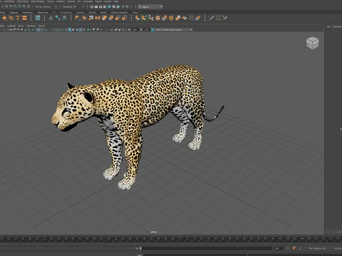 Leopard 3D Model
