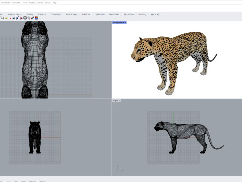 Leopard Modèle 3D