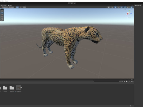 Leopard Modèle 3D