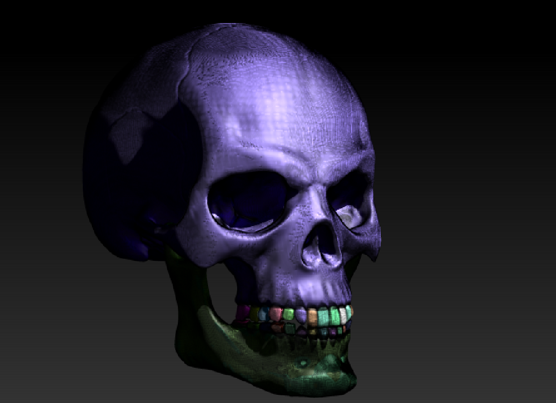 Skull 3d model