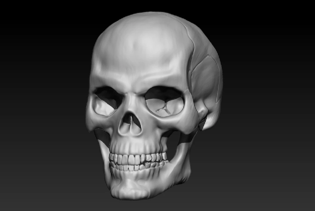 human skull 3D Model .c4d .max .obj .3ds .fbx .stl .blend 