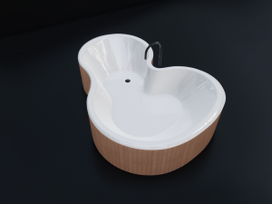 bathtub design Model 3D