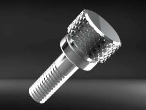 knurling screw 3D Model