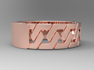 chain ring Model 3D