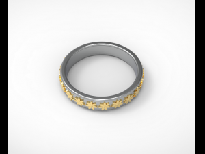 ring Modello 3D