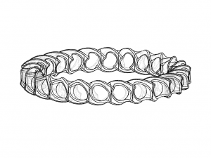 spooky bangle 3Dモデル