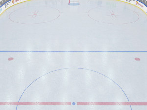 hockey rink 26x60 m Modello 3D