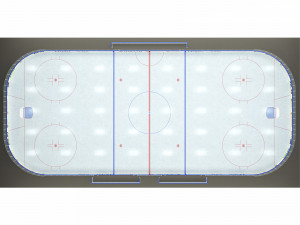 hockey rink 26x60 m Modello 3D