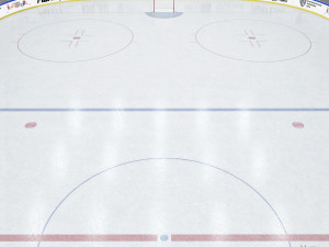 hockey rink 30x60 m with khl markings 3D 模型