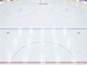 hockey rink 30x60 m with khl markings 3D Model