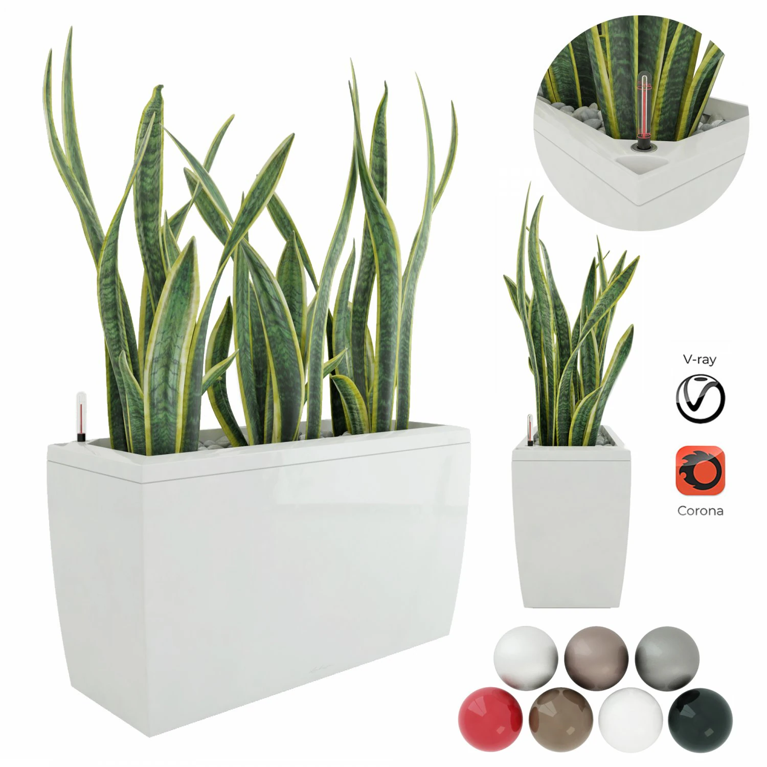 sansevieria in the pot lechusa cararo 3D Model .c4d .max .obj .3ds .fbx .stl .blend