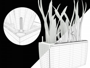 sansevieria in the pot lechusa cararo Model 3D