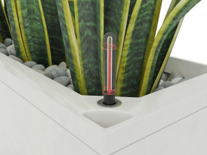 sansevieria in the pot lechusa cararo Model 3D
