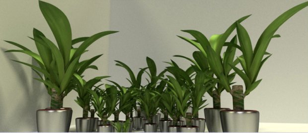 indoor pot plant 3D मॉडल .c4d .max .obj .3ds .fbx .stl .blend 