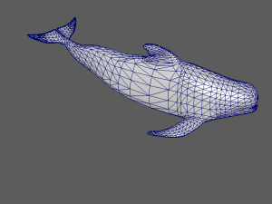 dolphin Modelo 3D
