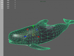 dolphin Modelo 3D