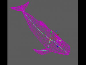dolphin Modelo 3D