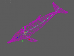 dolphins 3D Model