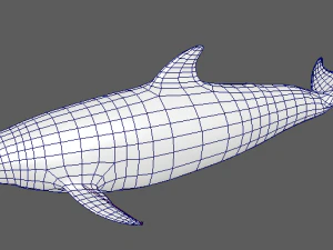 дельфіни 3D Модель