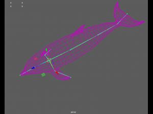 dolphins 3D Model
