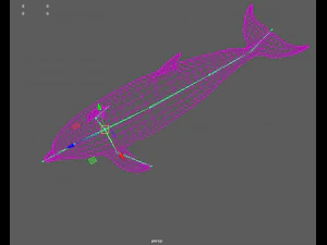 дельфіни 3D Модель