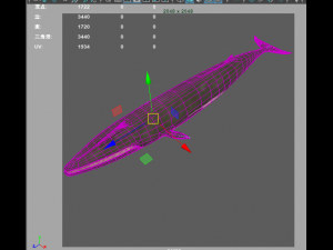 whale 3D Model