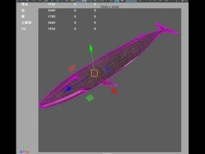 whale 3D Model