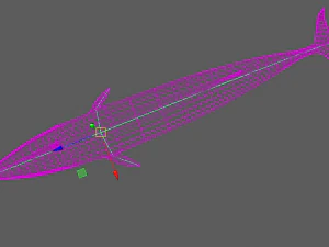 whale 3D Model