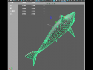 shark 3D Model