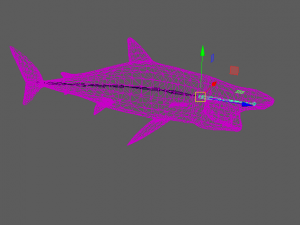 shark 3D Model