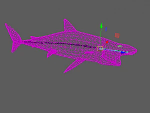 shark 3D Model