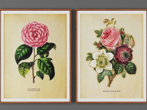 collection of 2 paintings 3D Model