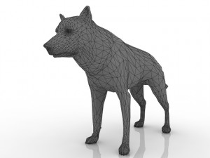 grey wolf 3D 模型