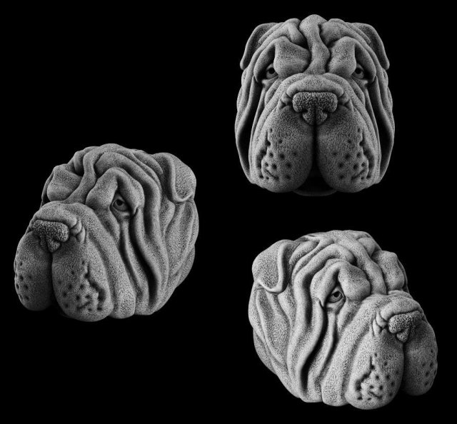 The head of a dog 3Dプリントモデル .c4d .max .obj .3ds .fbx .stl .blend 