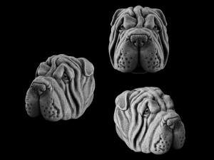 The head of a dog Modèles 3D en vedette