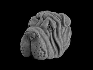 The head of a dog 3Dプリントモデル