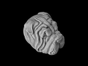 The head of a dog 3Dプリントモデル