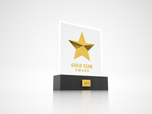 Stars Awards Trophy 3D Model