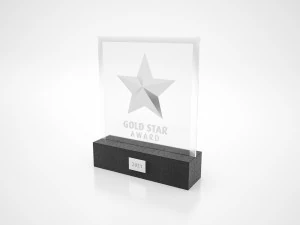 Stars Awards Trophy 3D Model