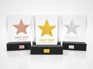 Stars Awards Trophy 3D Model
