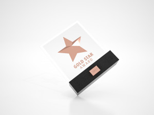 Stars Awards Trophy 3Dモデル