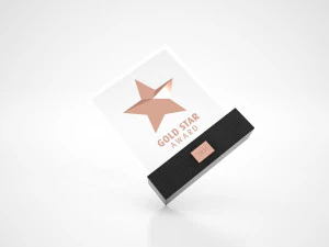 Stars Awards Trophy 3D Model